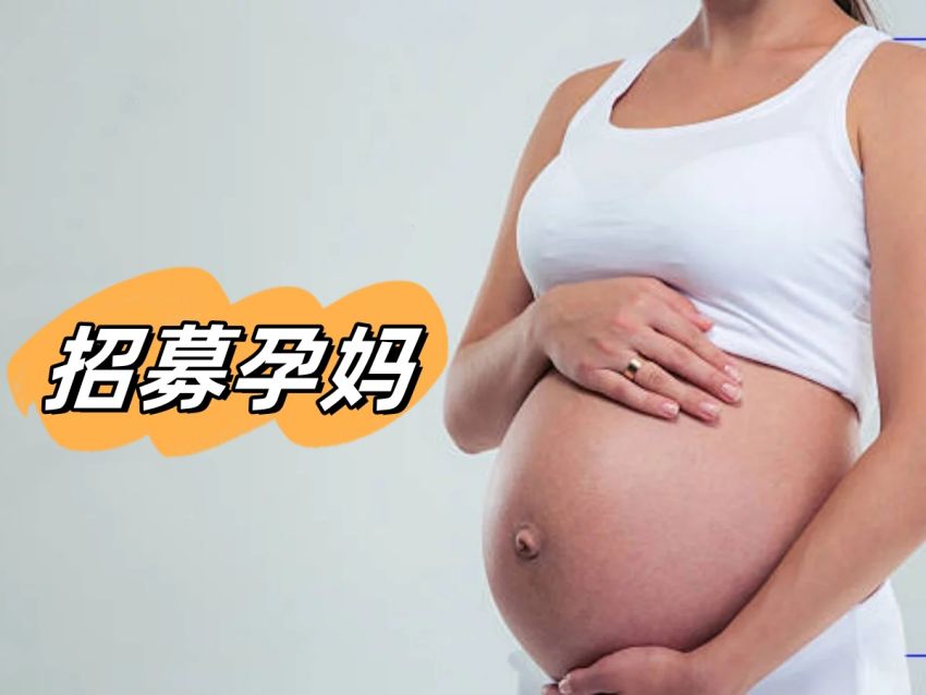 ����������ҪʲôҪ��������