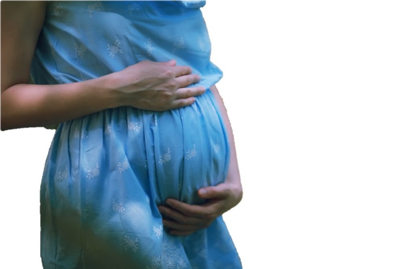 �����������������������